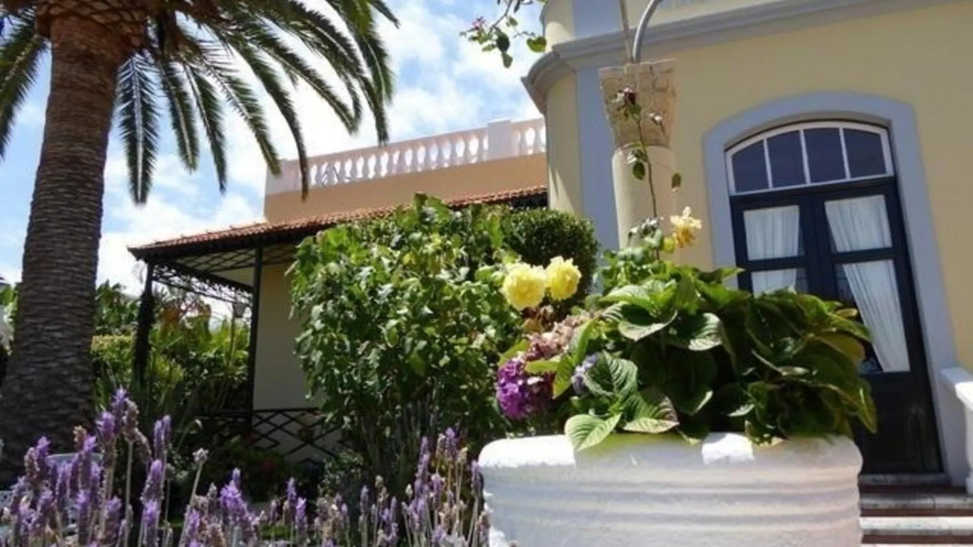 Schoene Wohnung Mit Garten In Puerto De La Cruz location