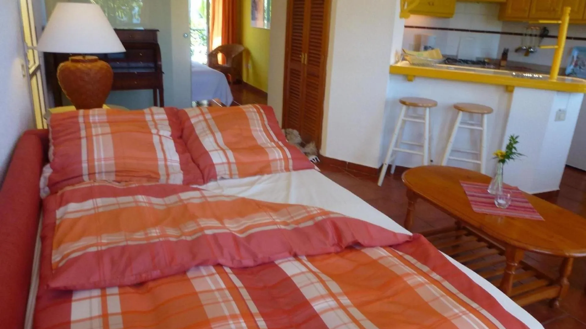 Schoene Wohnung Mit Garten In Puerto De La Cruz 0*, Puerto de la Cruz (Tenerife)
