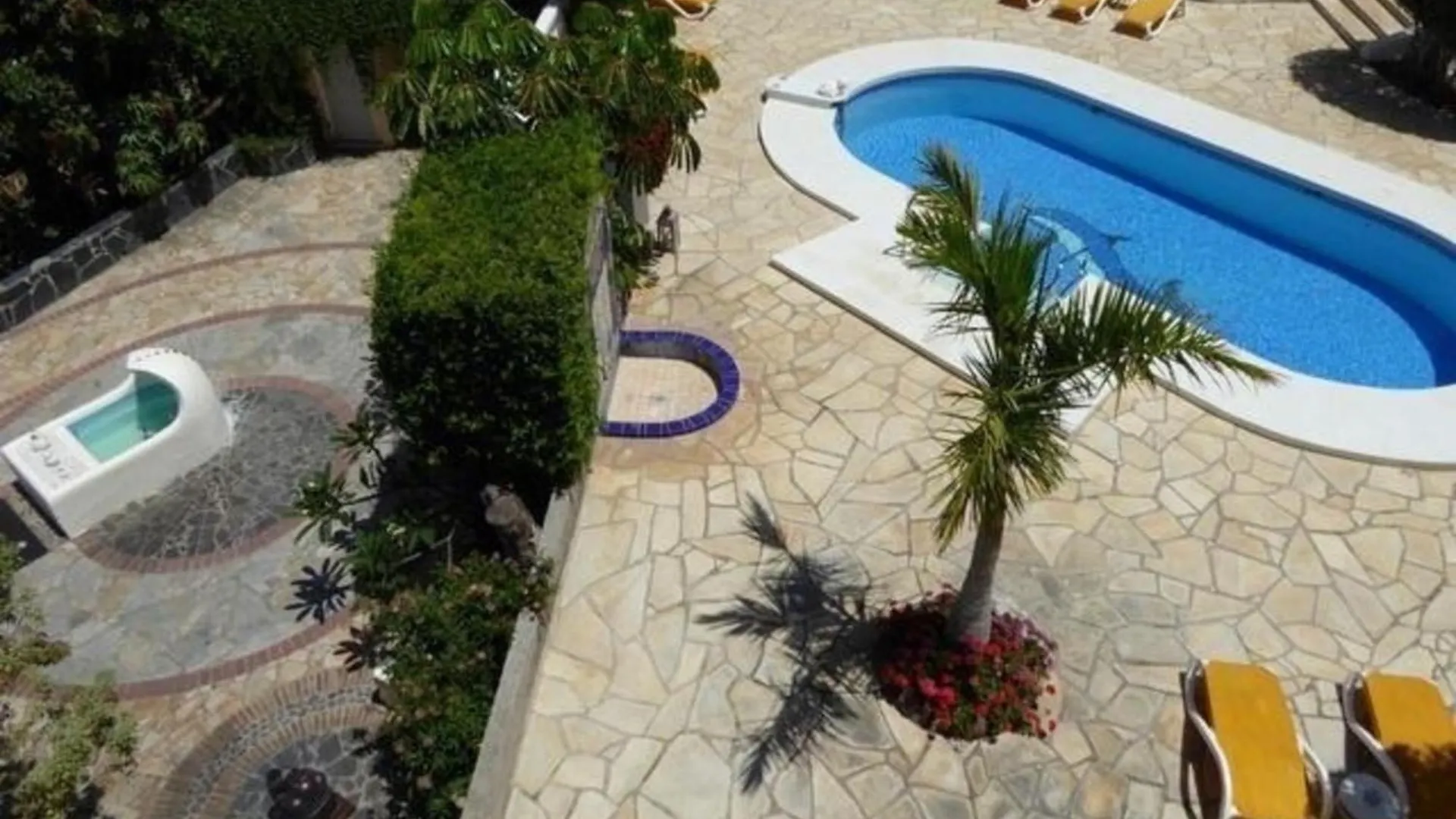 Apartment Schoene Wohnung Mit Garten In Puerto De La Cruz