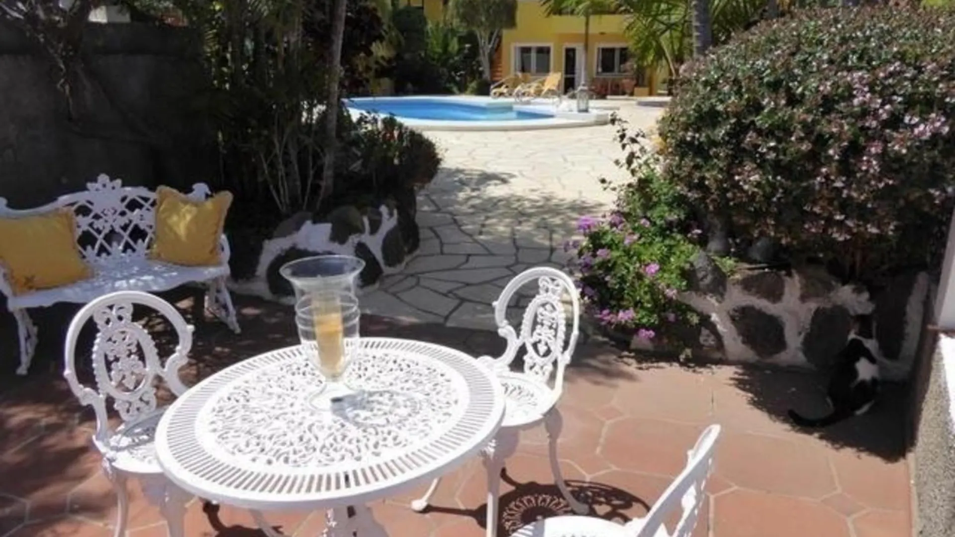 Schoene Wohnung Mit Garten In Puerto De La Cruz Puerto de la Cruz (Tenerife)